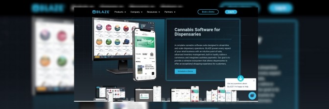 Blaze project preview